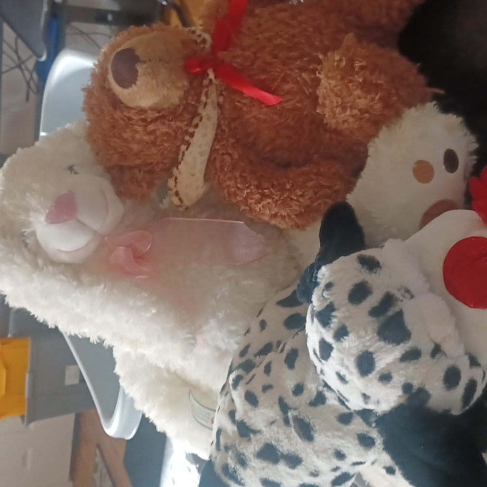 Valentine's day bears